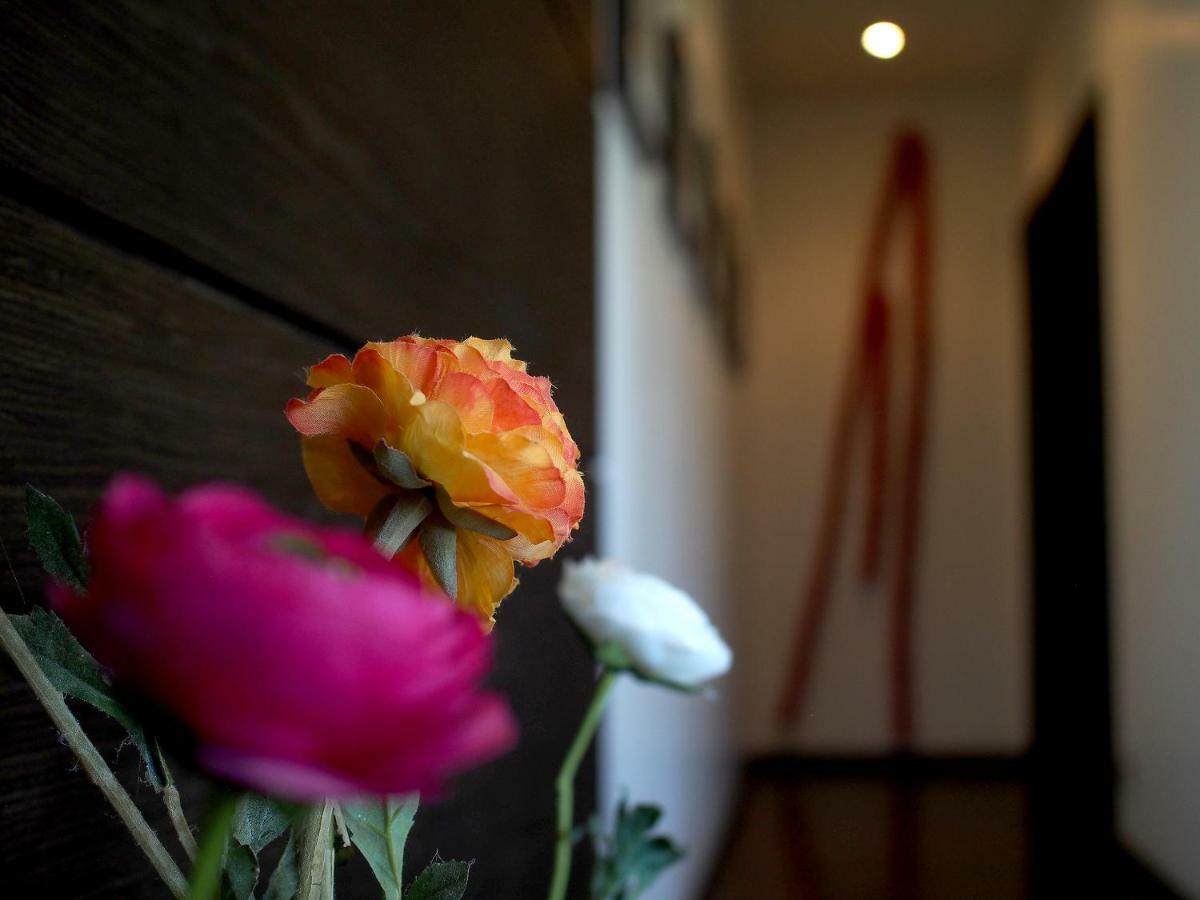 Chic Hotel Boutique Barra Grande  Ngoại thất bức ảnh